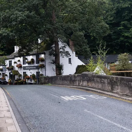 Honeysuckle * Knaresborough