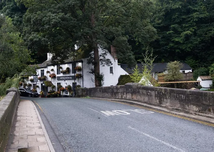 Honeysuckle * Knaresborough